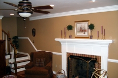 Living Space with Mantled FPLC